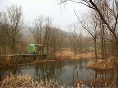iphone_upload_pic-西湖风景区-江洋畈生态公园
