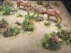 -北京麋鹿生态实验中心