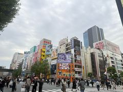-秋叶原电器街