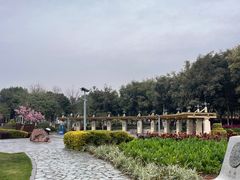 -狐尾山公园