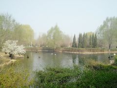 -长白岛森林公园