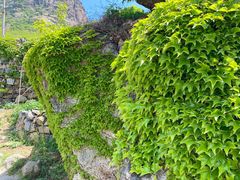 -灵山岛风景区
