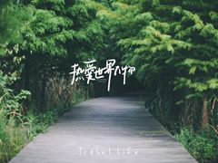 -溱湖国家湿地公园