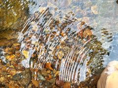 -北仑森林植物园