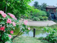 -国家植物园南园