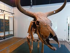 -丹麦国家博物馆