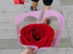 -海底捞火锅(九霄梦天地店)