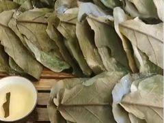 -福临门酒店·海鲜·家常菜·浑锅