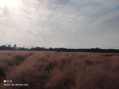 -尚贤河湿地