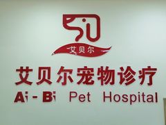 -艾贝尔宠物诊疗