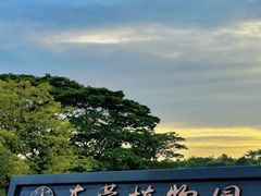 -东莞植物园
