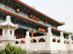 -天津大悲禅院