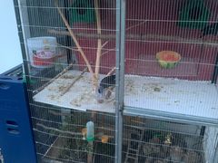 -北京龙庆四季香农家饭庄·灶台鱼·碳烤虹鳟鱼(龙庆峡店)