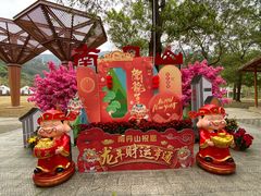 -南丹山森林王国