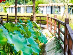 -洪湖家庭农场·团建·露营·会议