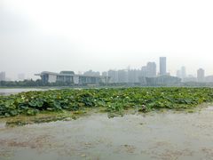 -月湖风景区