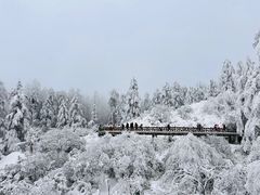 -瓦屋山景区