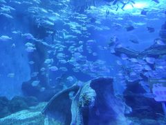 -多彩贵州城极地海洋世界