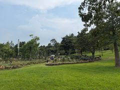 -东莞植物园