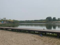 -东郊湿地公园