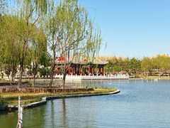 -西海子公园