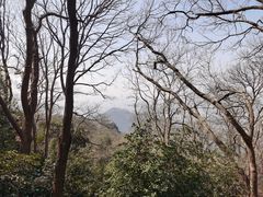 -紫金山山顶公园