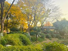 -金银湖国家城市湿地公园