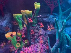 -沈阳海洋探索中心