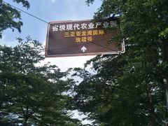 -亚龙湾国际玫瑰谷