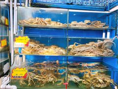 -蚝专家(北滘店)