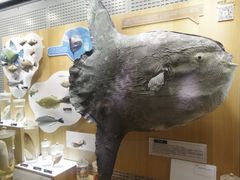 -青岛海底世界-水族馆