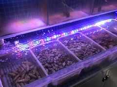 -老九圆山西面馆(CBD店)