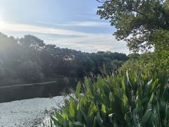 -八卦田遗址公园