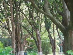 -厦门大学(思明校区)