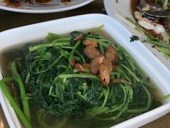 -广东名门