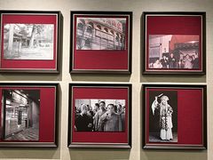 -峨嵋酒家(牡丹园店)