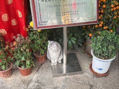 -鹅滋道(甘坑古镇店)