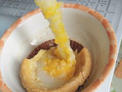 -芳叔(动漫星城店)