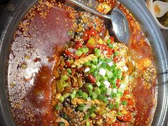 -探鱼·鲜青椒爽麻烤鱼(广州欣荣广场店)