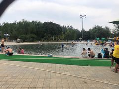 -柳浪游泳场