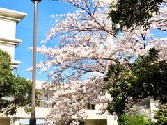 -COSTA COFFEE(武汉天地店)