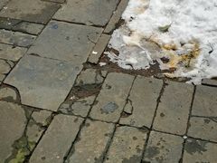 -正阳书局(西四南大街店)