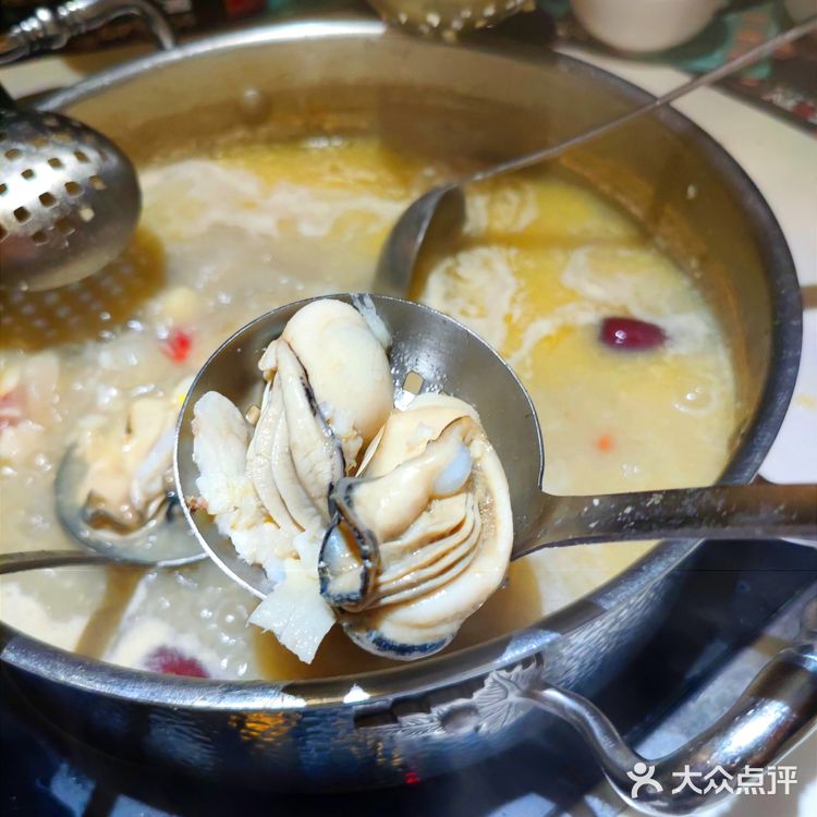 日月贝美食|蚝大仙海鲜火锅🦐市区首店来啦！