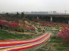 -秀丽东方