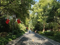 -西溪国家湿地公园