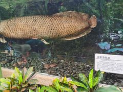 -青青世界