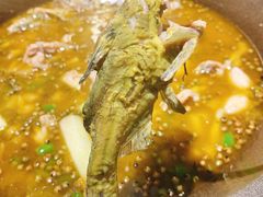 -石锅苗苗鱼(武汉首店)