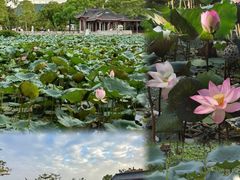 -惠州西湖丰渚园