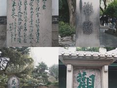 -趵突泉景区