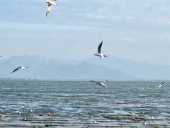 -深圳湾公园(南山区)